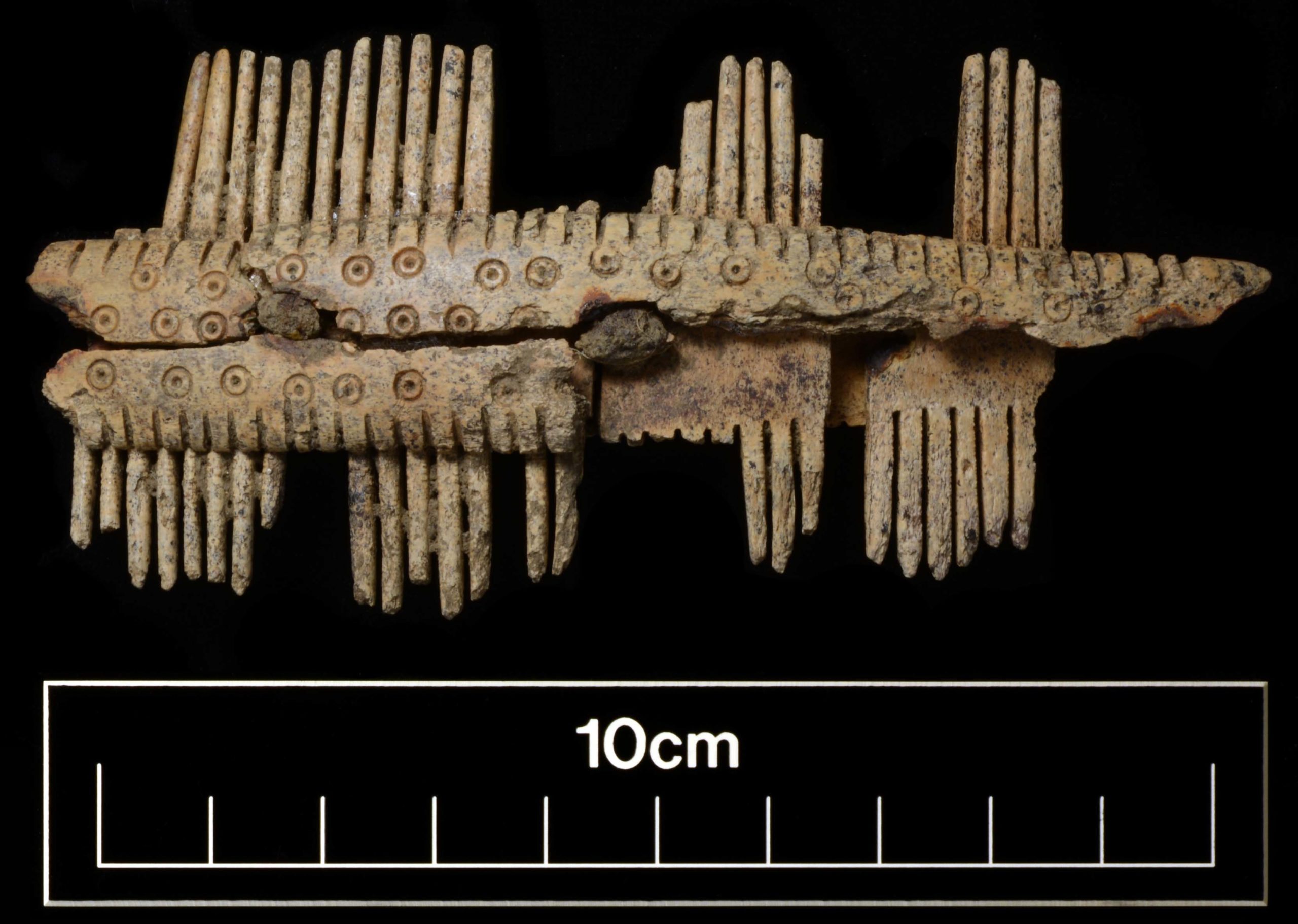 Anglo-Saxon comb - Albion Archaeology excavation in Fenstanton 2017-18