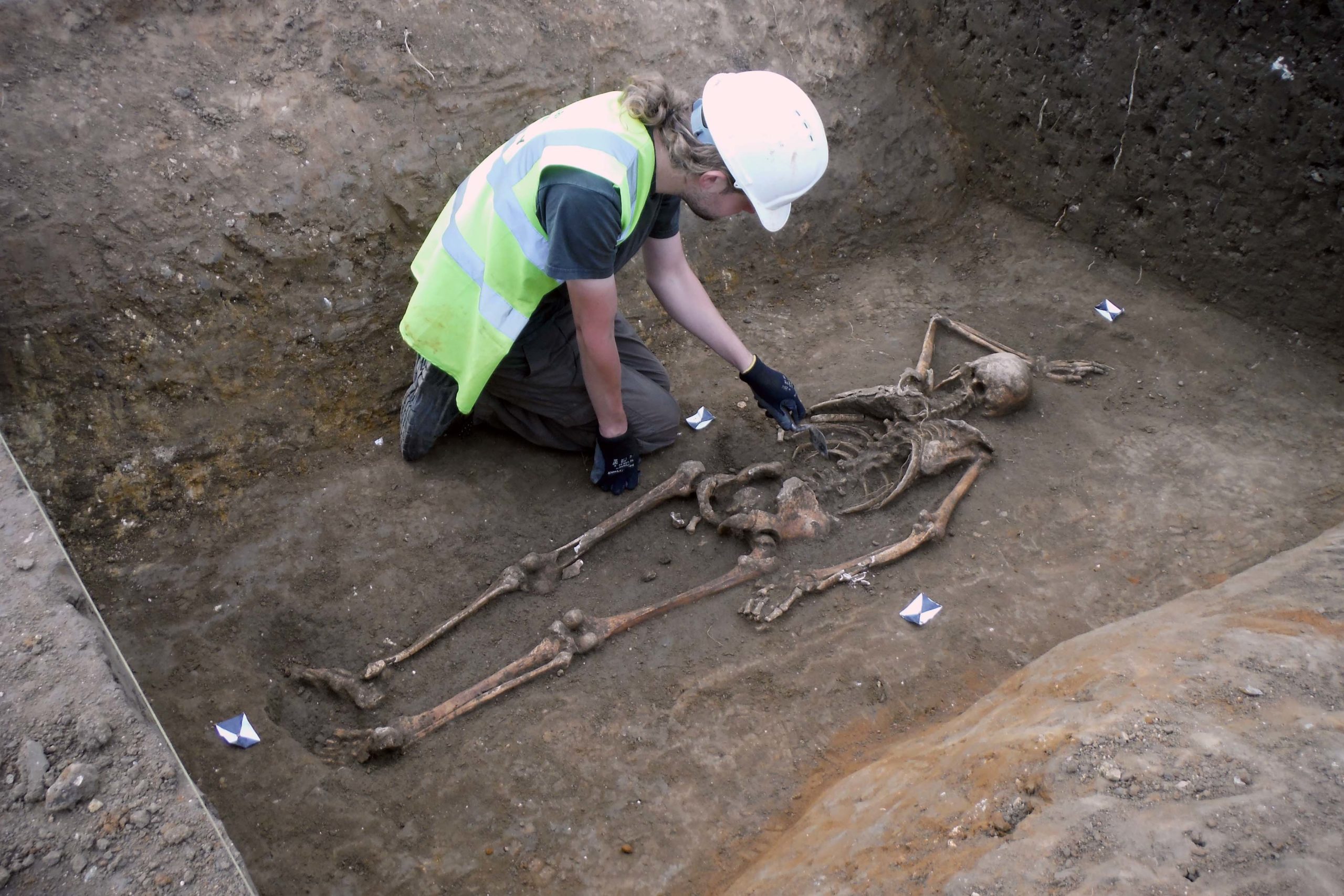 Anglo-Saxon skeleton in a ditch - Albion Archaeology excavation in Fenstanton 2017-18